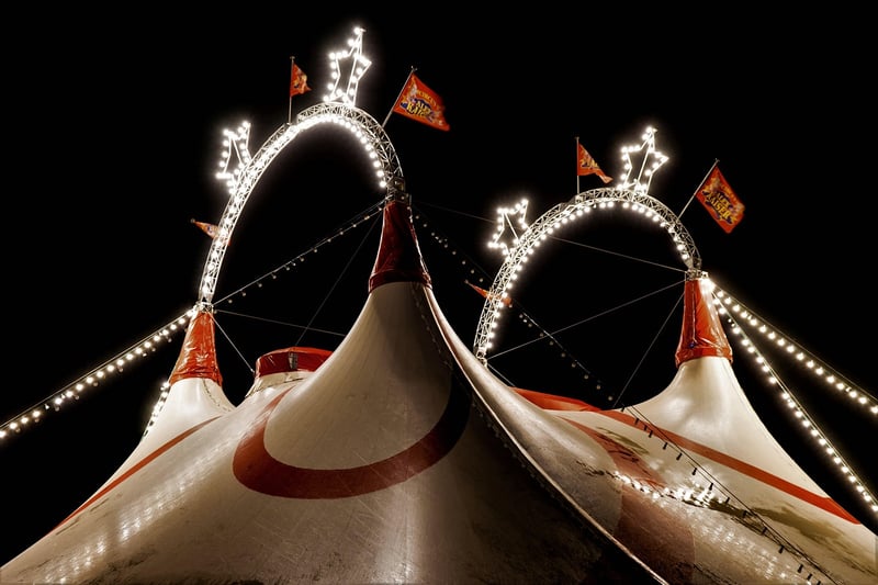 Circus Extravaganza